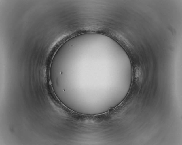 X0000113010684200909101818