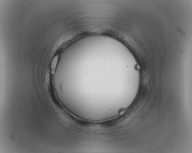 X0000113010685200909101818