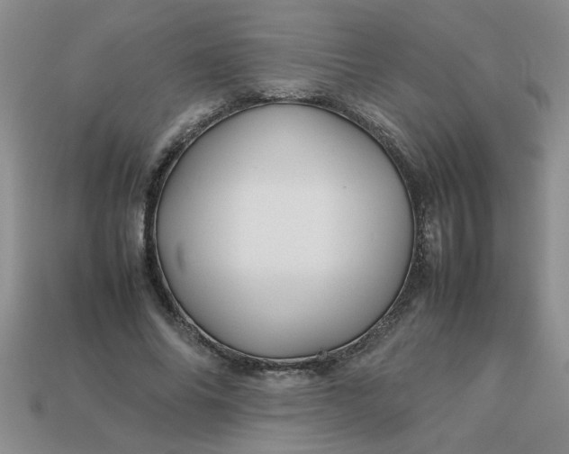 X0000113010686200909101818