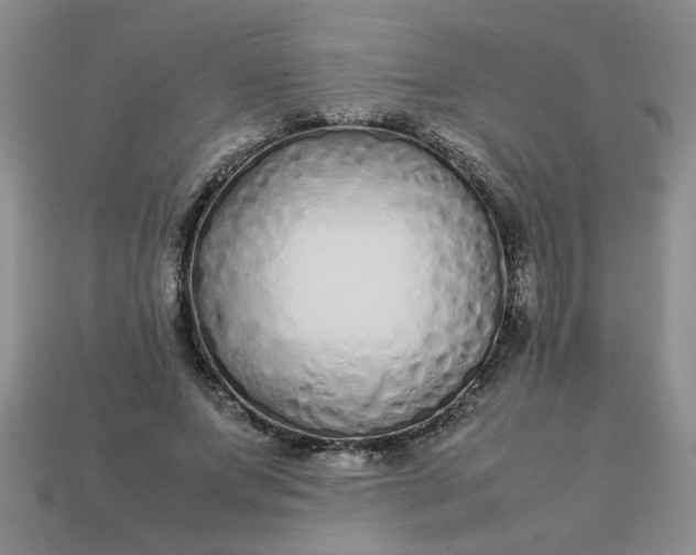 X0000113010687200909101818