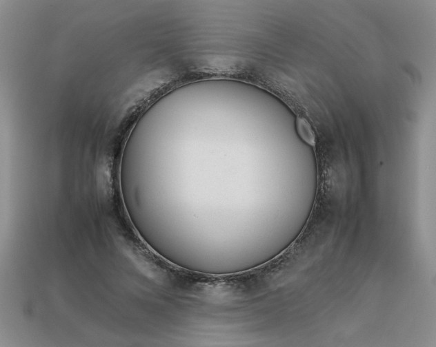 X0000113010688200909101818