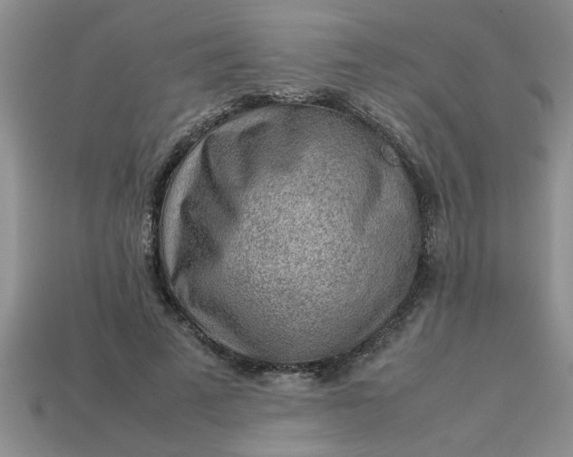 X0000113010689200909101818