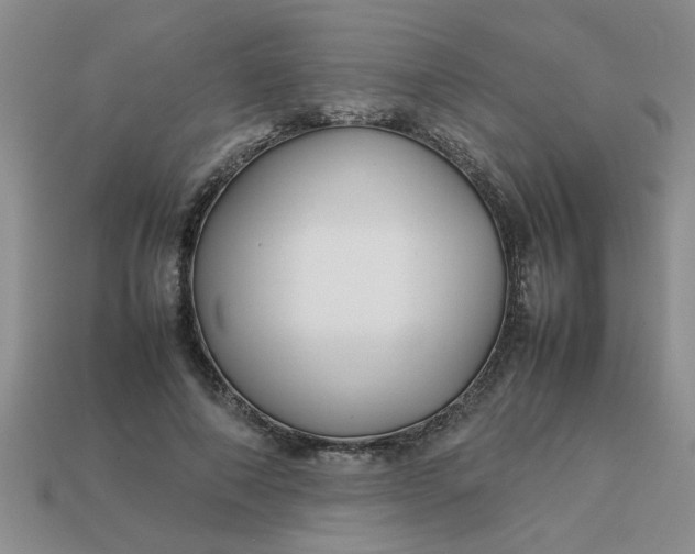 X0000113010690200909101818