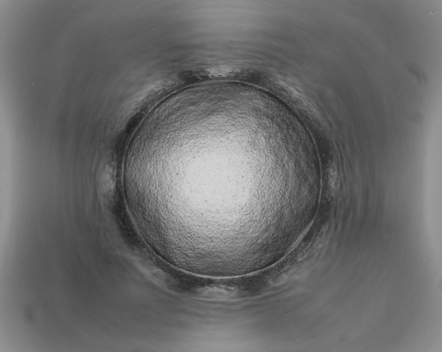 X0000113010691200909101818