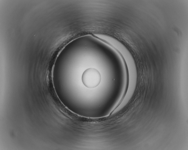 X0000113010692200909101818