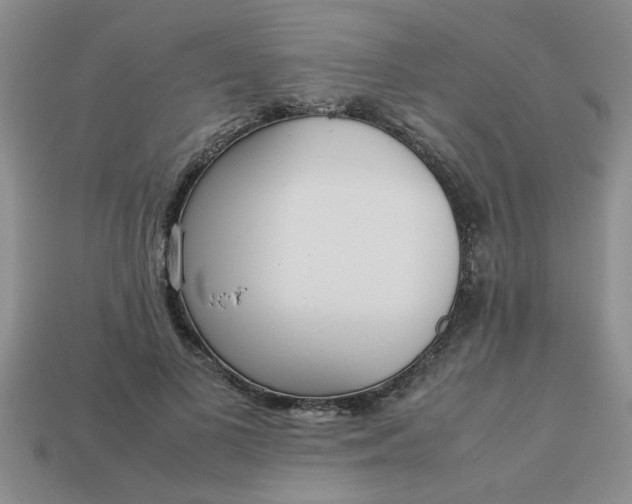 X0000113010693200909101818