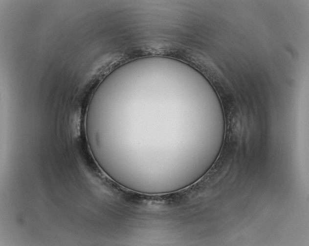 X0000113010694200909101818