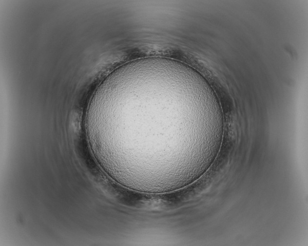 X0000113010695200909101818