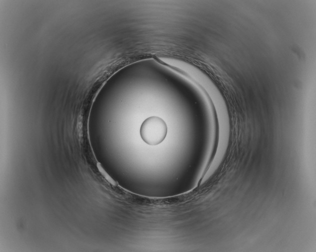 X0000113010696200909101818