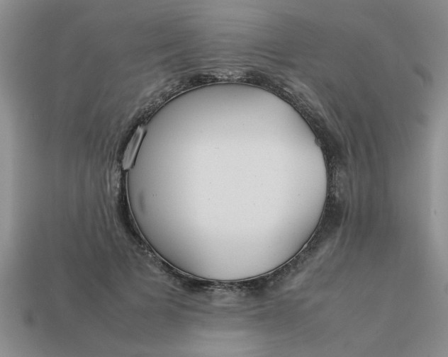 X0000113010697200909101818