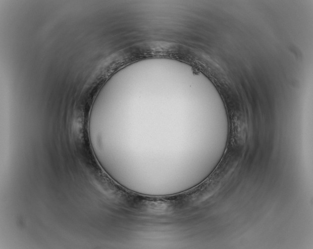 X0000113010698200909101817