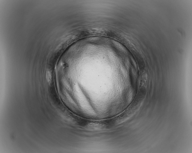 X0000113010699200909101817