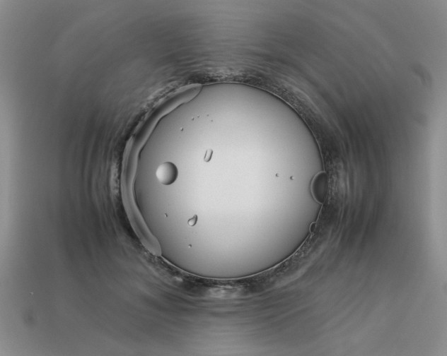 X0000113010700200909101817