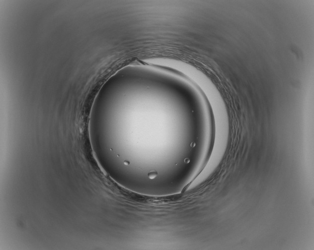 X0000113010701200909101817