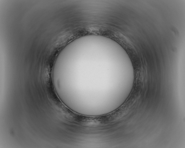 X0000113010702200909101817