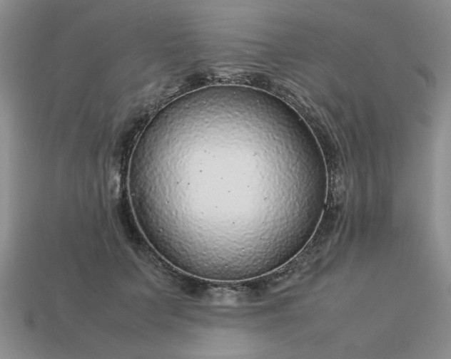 X0000113010703200909101817