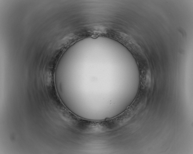 X0000113010704200909101817