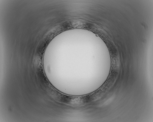 X0000113010705200909101817