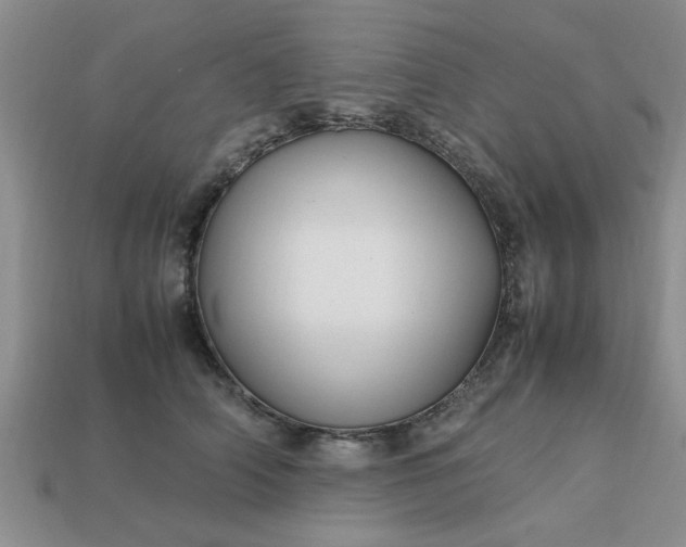 X0000113010706200909101817