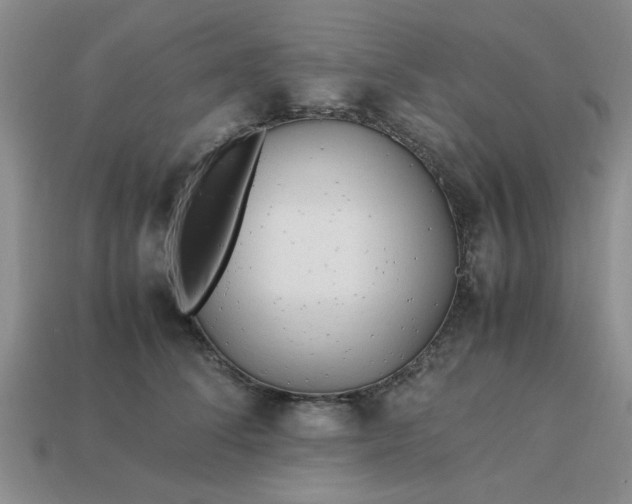 X0000113010708200909101817