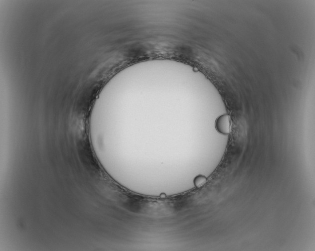 X0000113010709200909101817