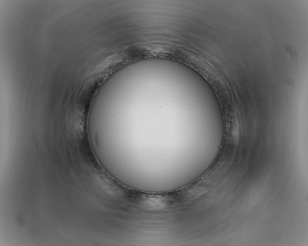 X0000113010710200909101817