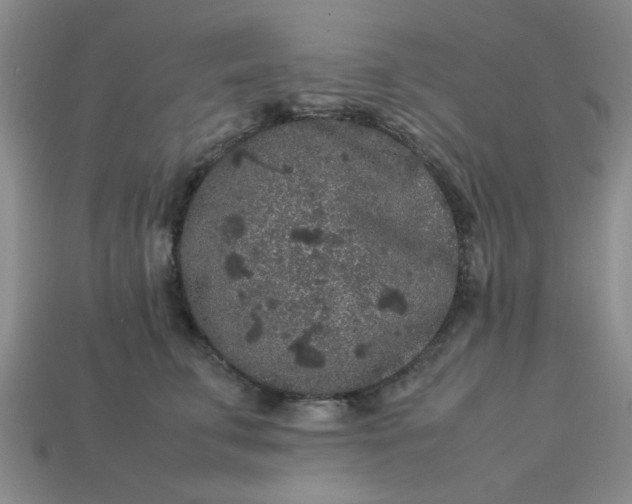 X0000113010711200909101817