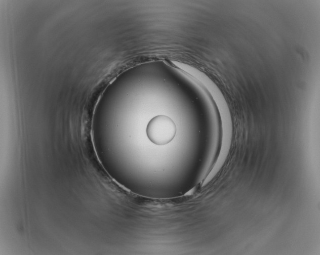 X0000113010712200909101817