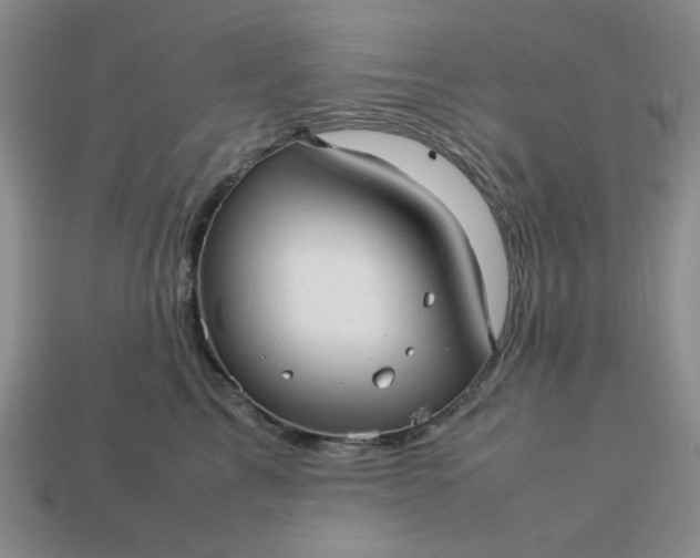 X0000113010713200909101817