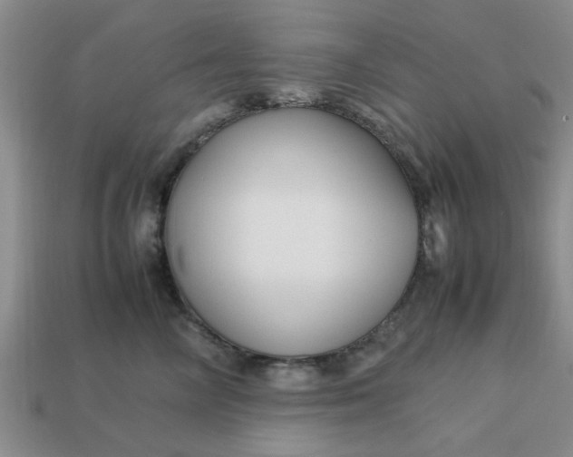 X0000113010714200909101817