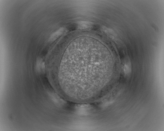 X0000113010716200909101817