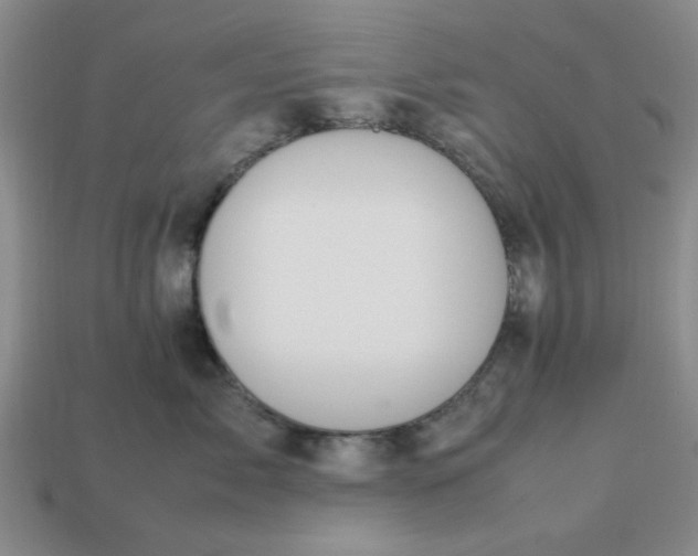 X0000113010717200909101817