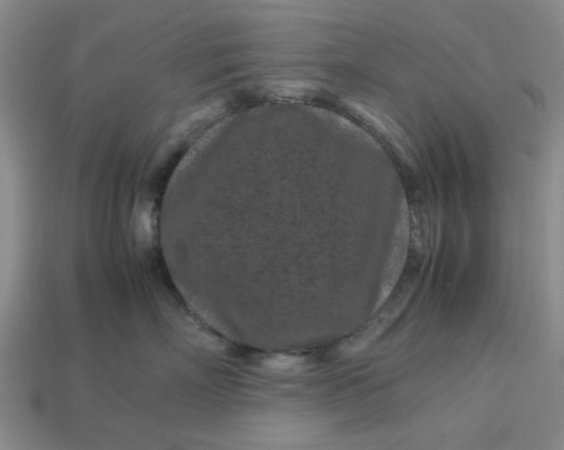 X0000113010718200909101817