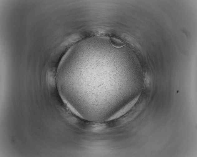 X0000113010719200909101817