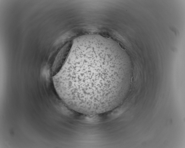 X0000113010720200909101817