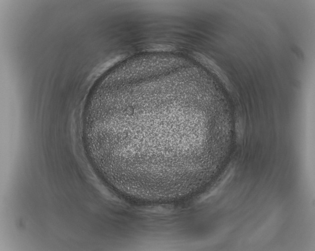 X0000113010721200909101816