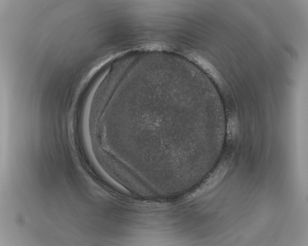 X0000113010722200909101816