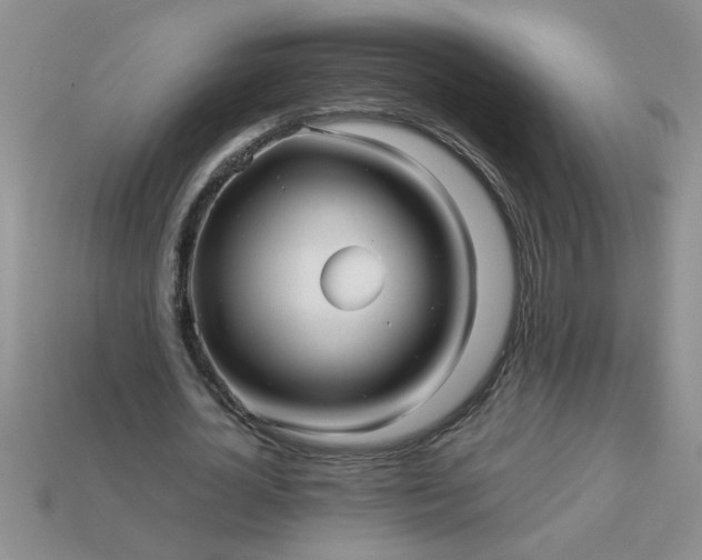 X0000113010724200909101816