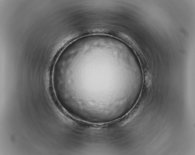 X0000113010725200909101816