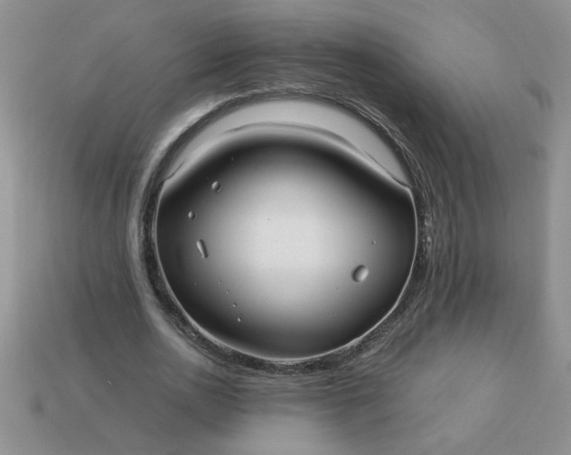 X0000113010726200909101817