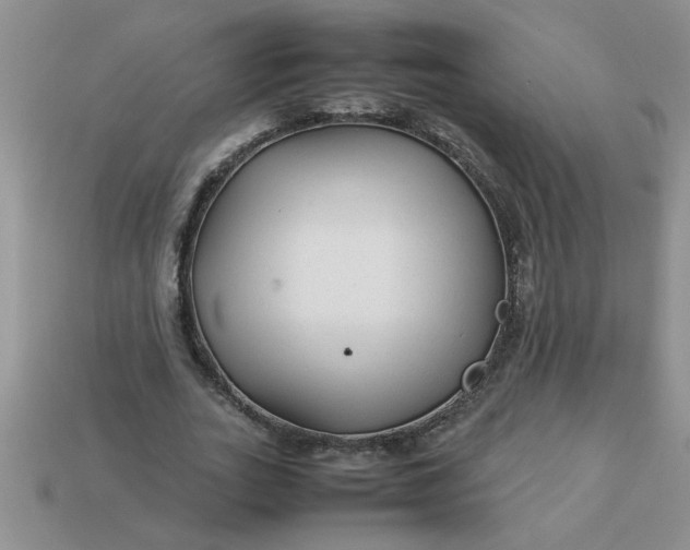 X0000113010727200909101817