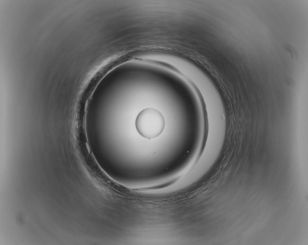 X0000113010728200909101817