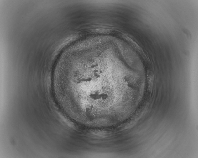 X0000113010729200909101817