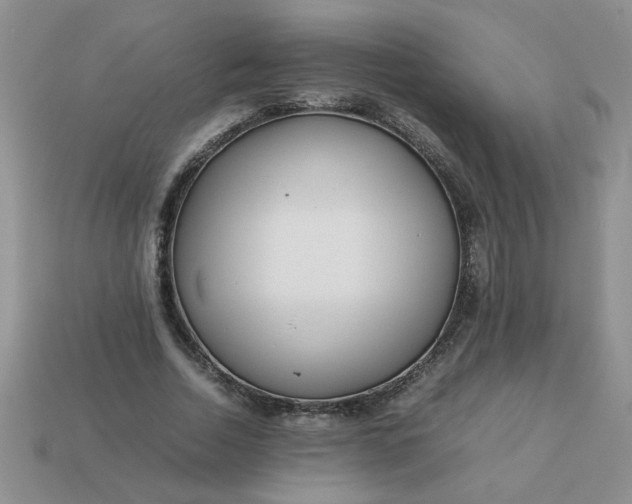 X0000113010730200909101817