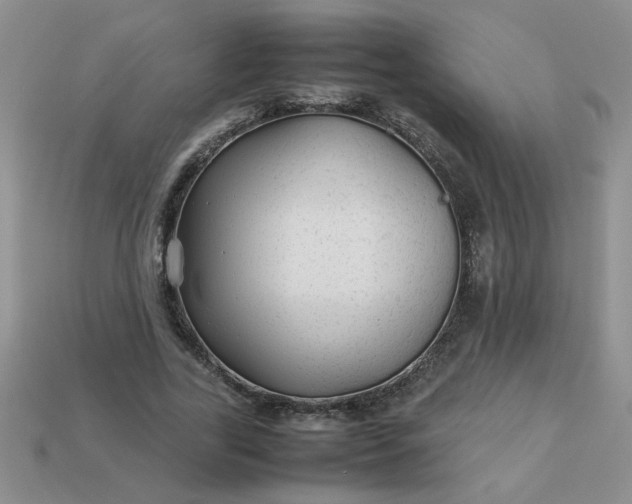 X0000113010731200909101817