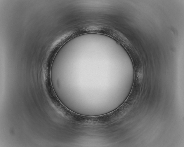 X0000113010732200909101817