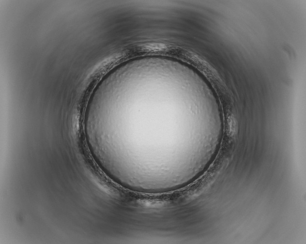 X0000113010733200909101817