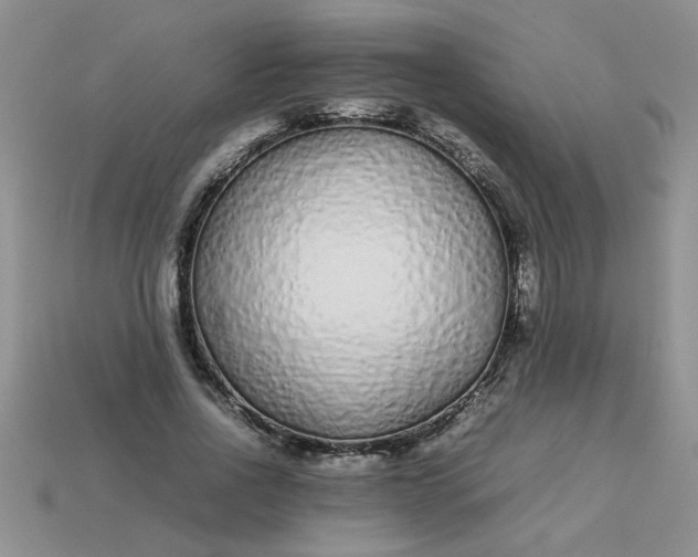 X0000113010734200909101817