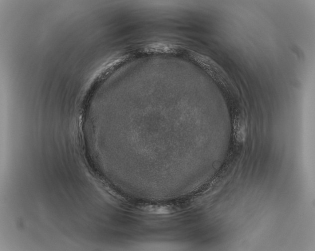 X0000113010735200909101817