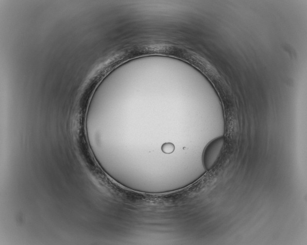 X0000113010736200909101817